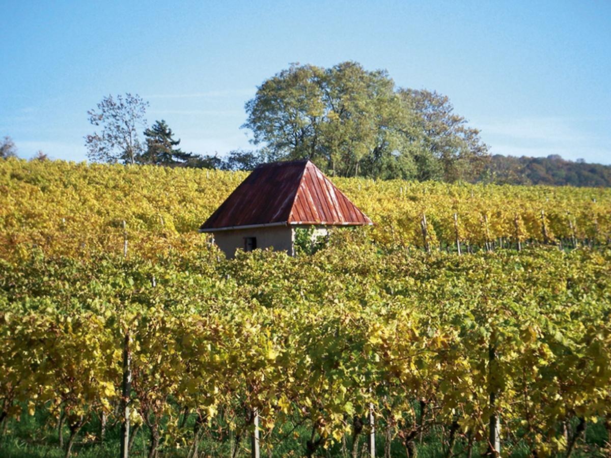 Hotel-Gasthof Rotes Ross Markt Einersheim Luaran gambar